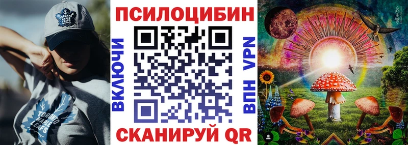 Псилоцибиновые грибы Psilocybine cubensis  Спас-Клепики 
